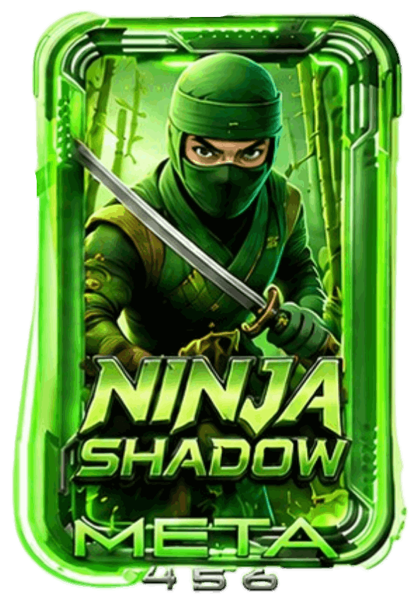 NINJA SHADOW